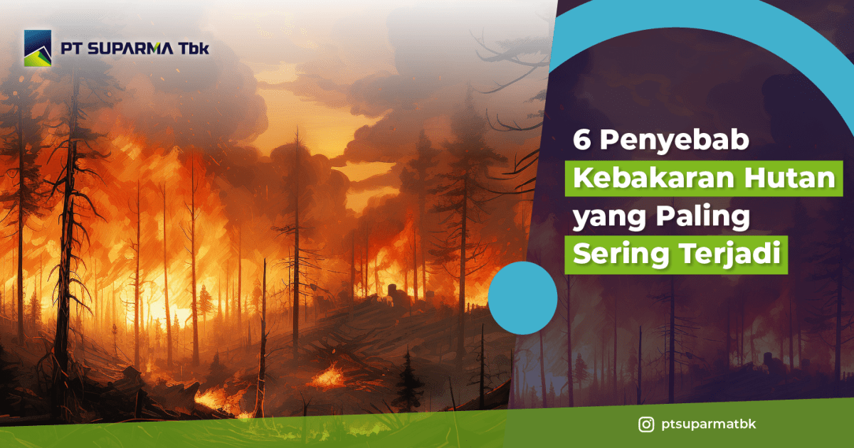 artikel FCY